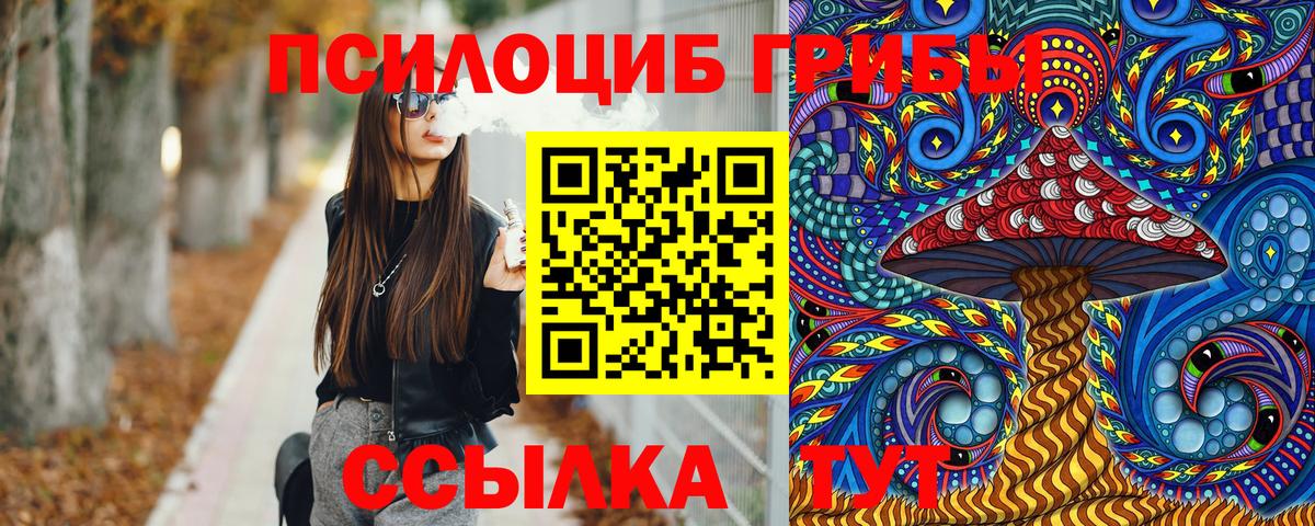 Петропавловск-Камчатский  Галлюциногенные грибы Magic Shrooms  Вход с VPN 