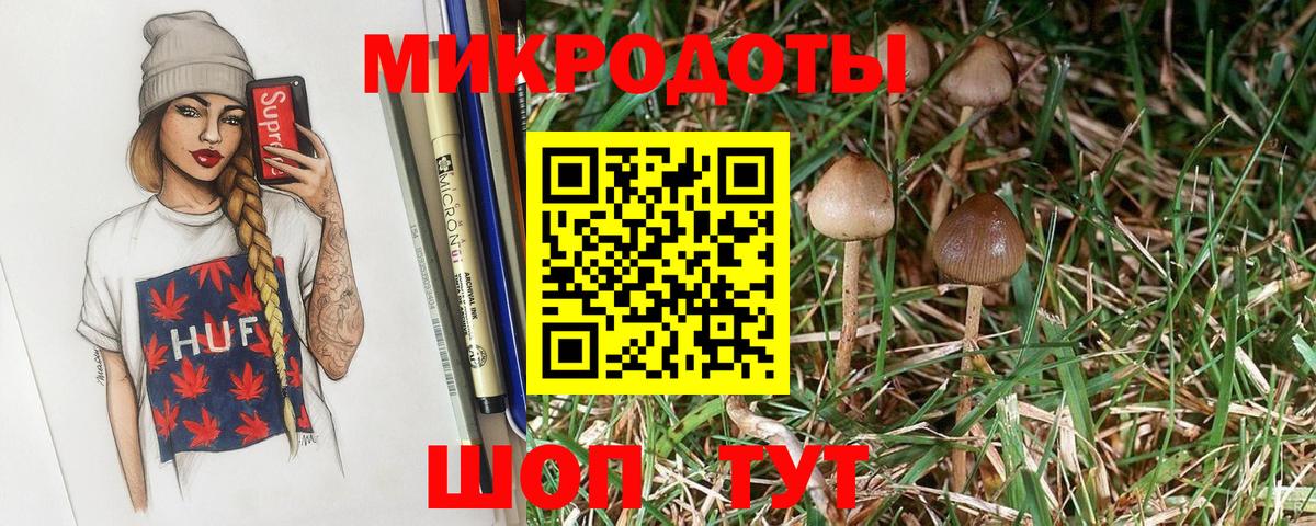 Галлюциногенные грибы Magic Shrooms Петропавловск-Камчатский